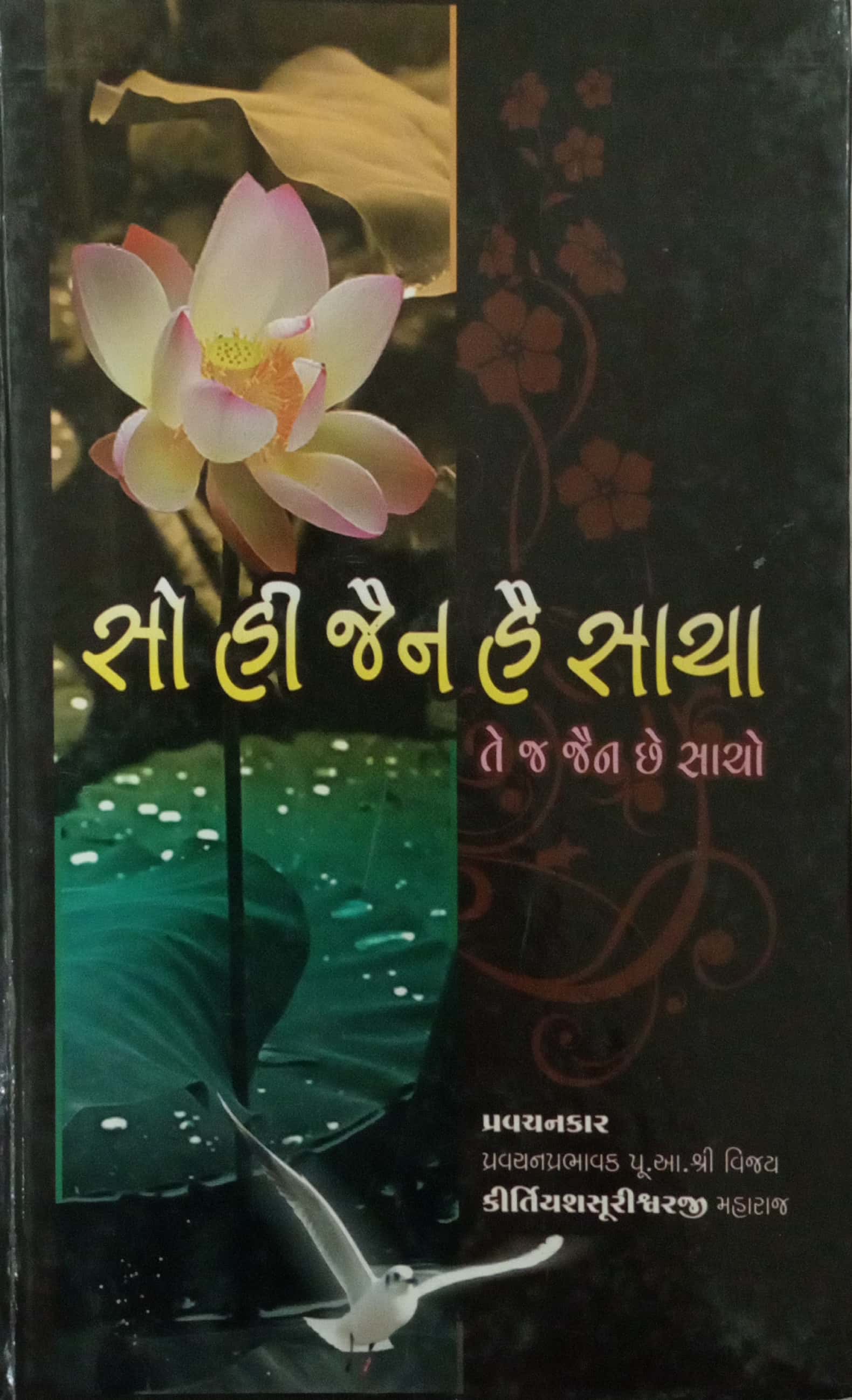 So Hi Jain Hai Sacha